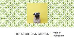 Rhetorical genre