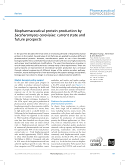 Biopharmaceutical protein production by