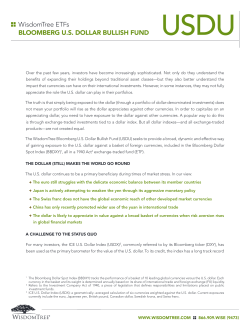 The Case for Bloomberg U.S. Dollar Bullish Fund