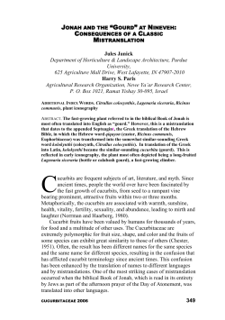 Jonah and the "Gourd" at Nineveh