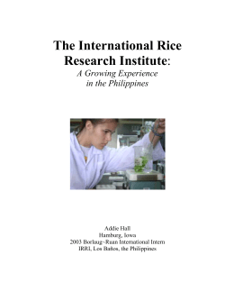 The International Rice Research Institute