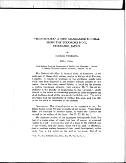 H TODOROKITE," A NEW MANGANESE MINERAL FROM THE