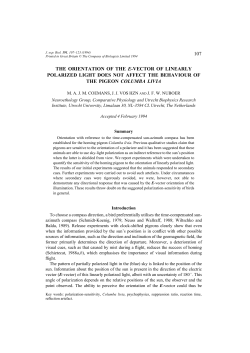 107 the orientation of the e-vector of linearly polarized light does not