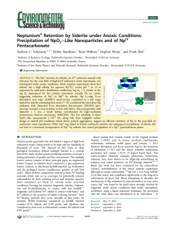NeptuniumV retention by siderite under anoxic conditions