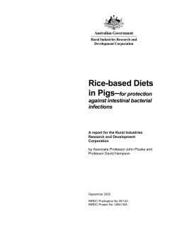 Rice-based Diets - Publications