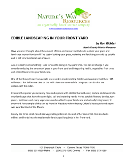 edible landscaping in your front yard