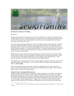 Introduction to Saltwater Fly Fishing