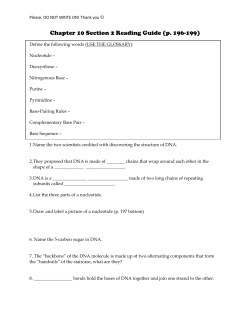 DNA Structure Worksheet