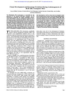 Clonal Development and Karyotype Evolution