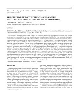 reproductive biology of the channel catfish