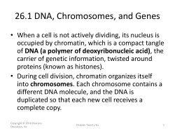 26.1 DNA, Chromosomes, and Genes