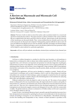 A Review on Macroscale and Microscale Cell Lysis Methods