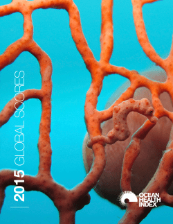 GLOBAL SCORES - Ocean Health Index