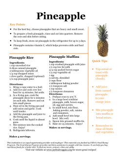 Pineapple