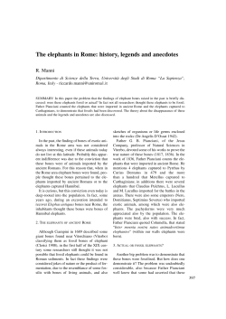 The elephants in Rome: history, legends and