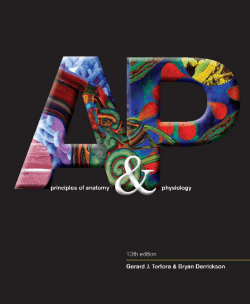 The Art of Anatomy and Physiology