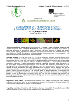 DEVELOPMENT OF THE NERVOUS SYSTEM: A COMPARATIVE