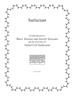 Surfactant - Noel Ways
