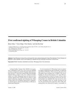 First BC Whooping Cranes, 200 KB - Save-The