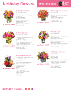 birthday flowers - Flower Shop Network