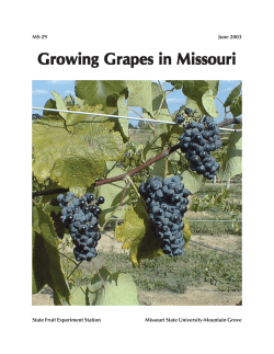 Growing Grapes in Missouri - William H. Darr College of Agriculture