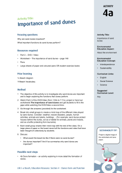 Life`s a beach education resource 2013