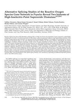 Alternative Splicing Studies of the Reactive Oxygen Species Gene