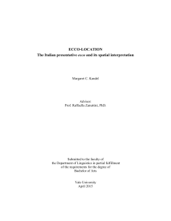 ECCO-LOCATION The Italian presentative ecco