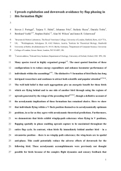 Upwash exploitation and downwash avoidance by flap phasing in