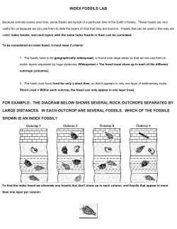 10 Index Fossils
