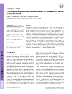 Cell death in Streptococcus mutans biofilms: a link between CSP