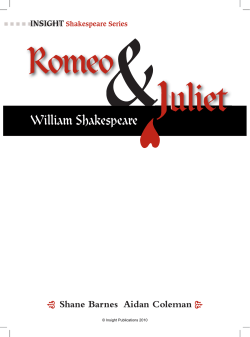 Preview - Insight Publications