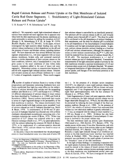 Rapid Calcium Release and Proton Uptake at the Disk Membrane of