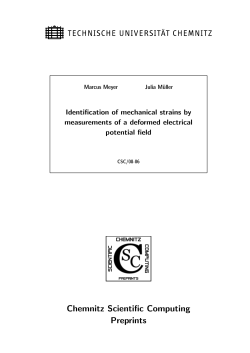 CSC Preprint - TU Chemnitz