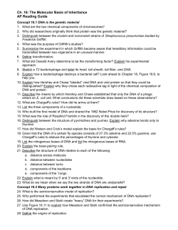 Ch. 16: The Molecular Basis of Inheritance AP Reading Guide