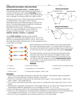 Building DNA Nucleotides