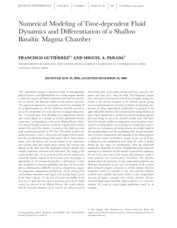 Numerical Modeling of Time-dependent Fluid