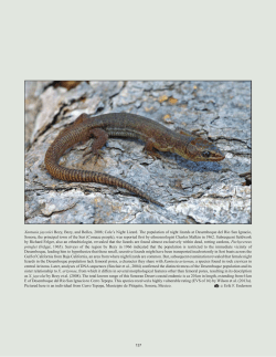 Sonoran Desert herpetofauna Bezy et al. Xantusia jaycolei Bezy