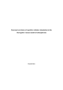 Full Text - Maastricht University Research Portal