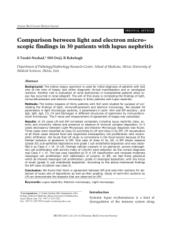 Comparison between light and electron micro