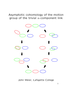Asymptotic cohomology of the motion group of