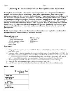 Observing the Relationship between Photosynthesis and Respiration