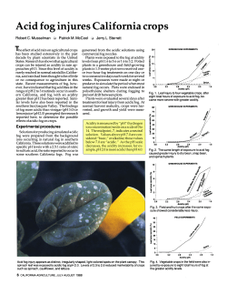 Acid fog injures California crops