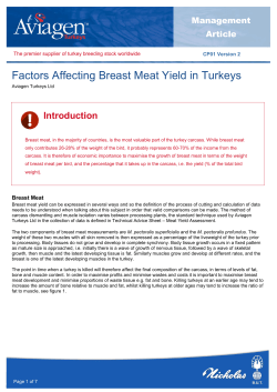 Factors Affecting Breast Meat Yield in Turkeys