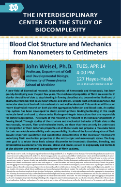 Blood Clot Structure and Mechanics from Nanometers to Centimeters