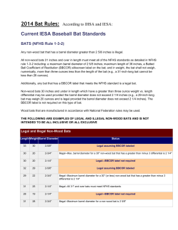 2014 Bat Rules