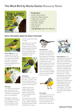 The Word Bird by Nicola Davies Resource Notes