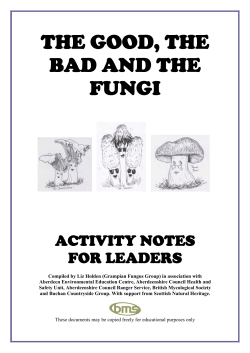 the good, the bad and the fungi