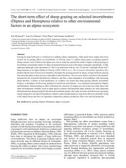 The short-term effect of sheep grazing on selected invertebrates