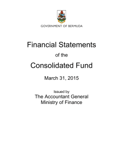 Financial Statements Consolidated Fund
